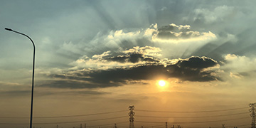 中江小麦技术优势